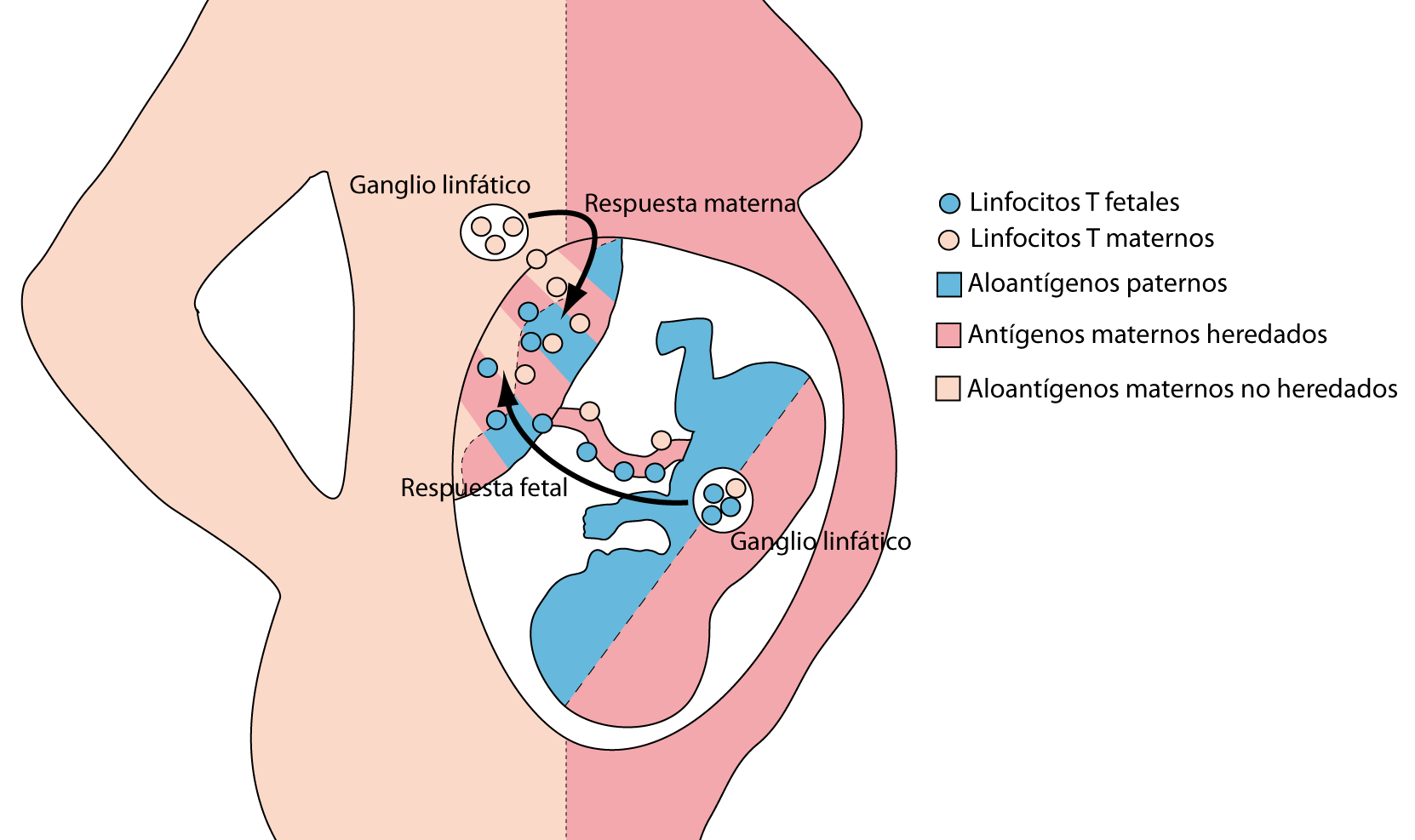 fig1