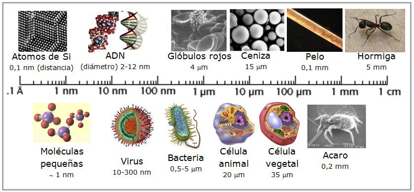 Resultat d'imatges de escala nanomètrica