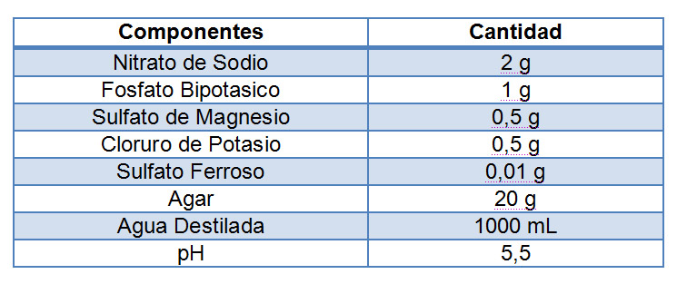 Opaco chico caballo de Troya Trabajo de Investigación