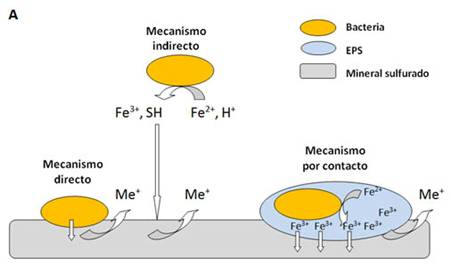 fig1