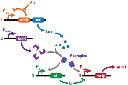 fig1