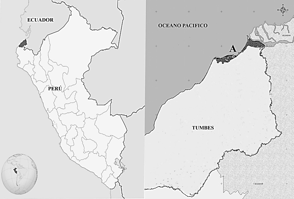 fig1