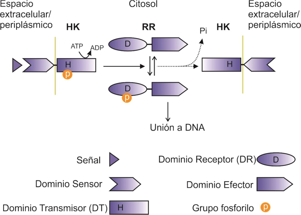 fig1