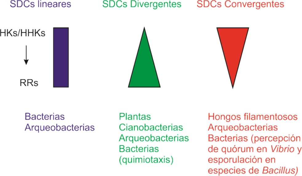 fig3