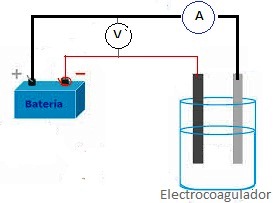 fig1