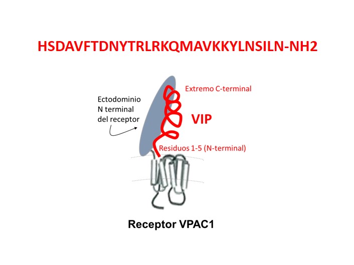 fig1