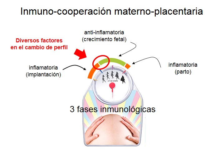 fig2