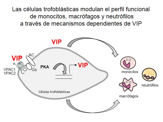 fig3