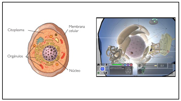 fig1