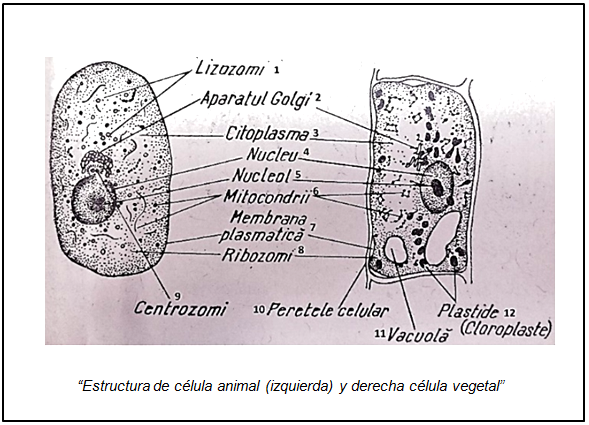 fig12