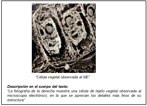 fig14