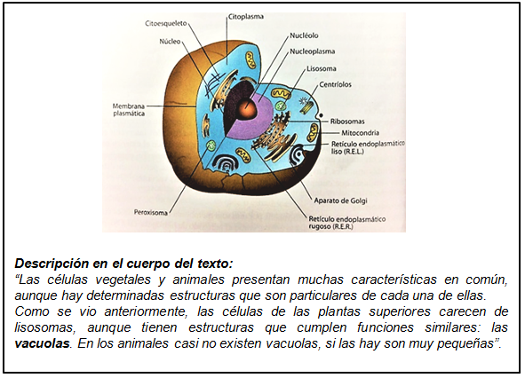 fig16