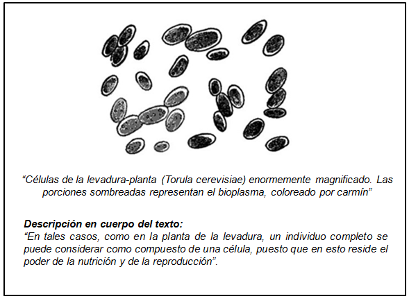 fig7