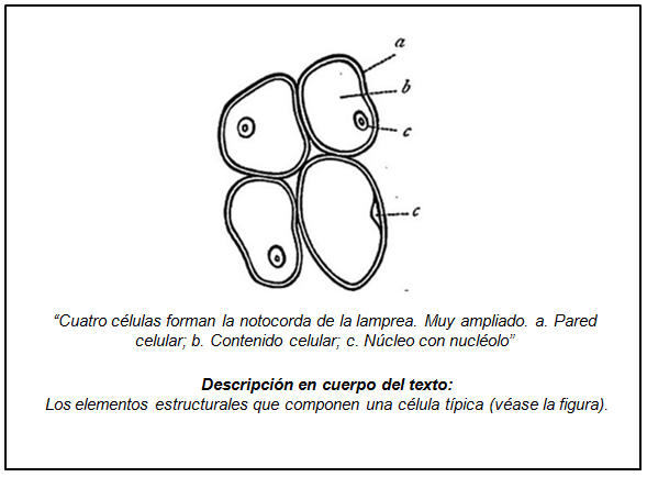 fig8