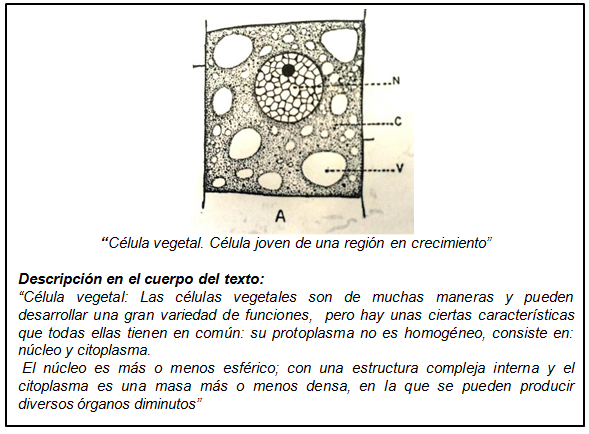 fig9