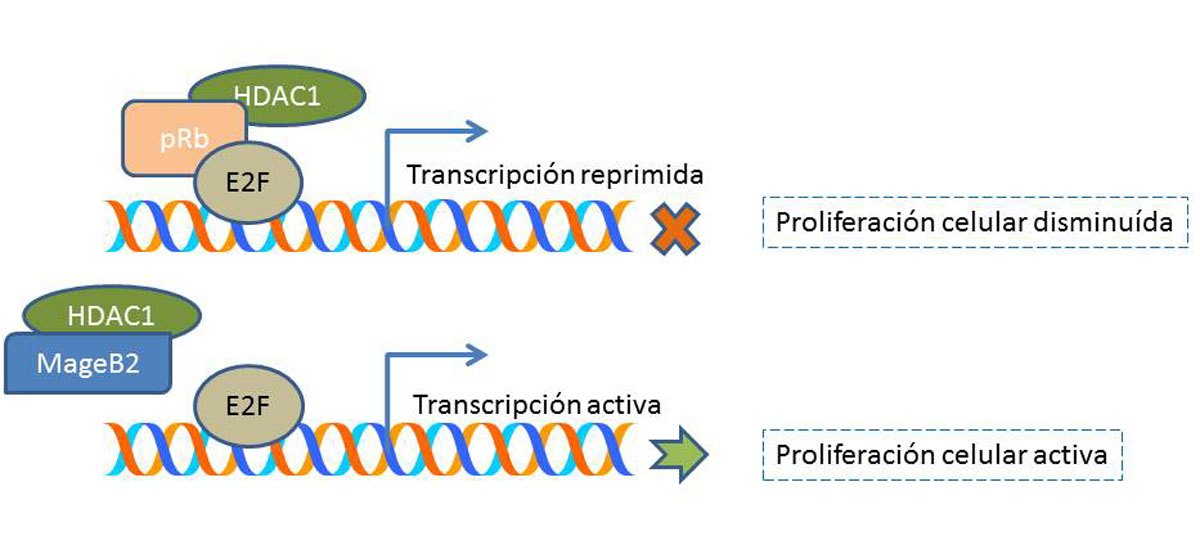 fig3