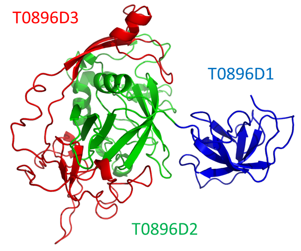 fig2