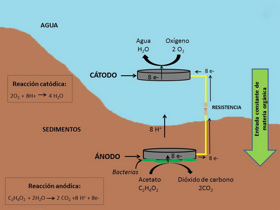 fig2