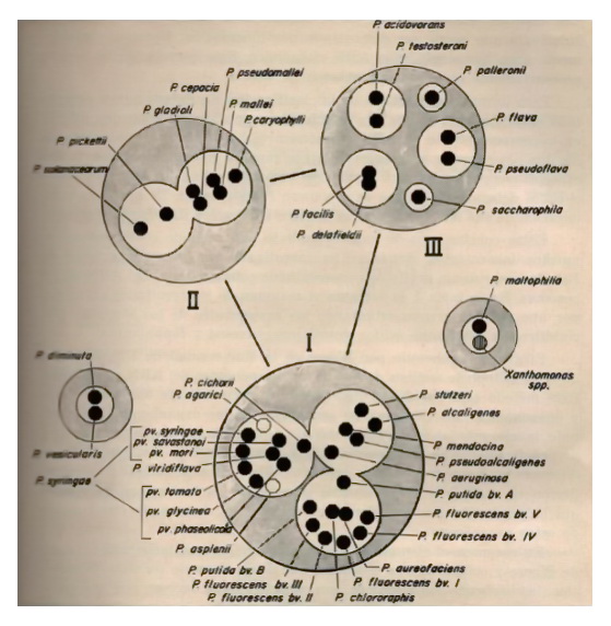 fig1