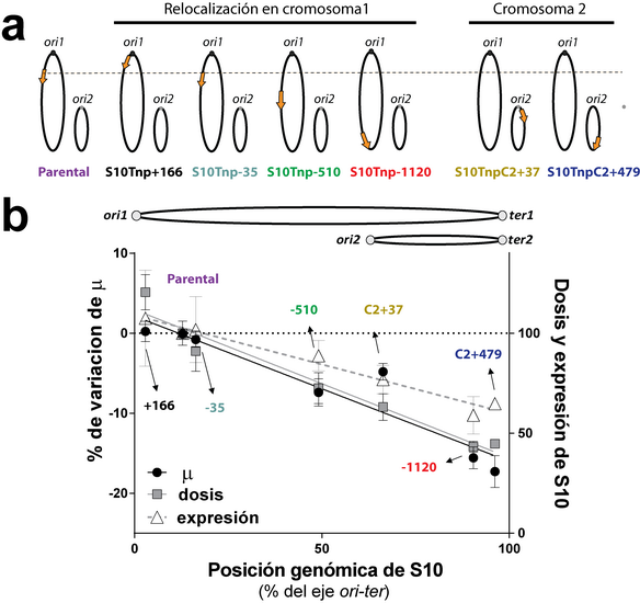 fig2