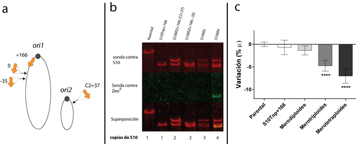 fig3