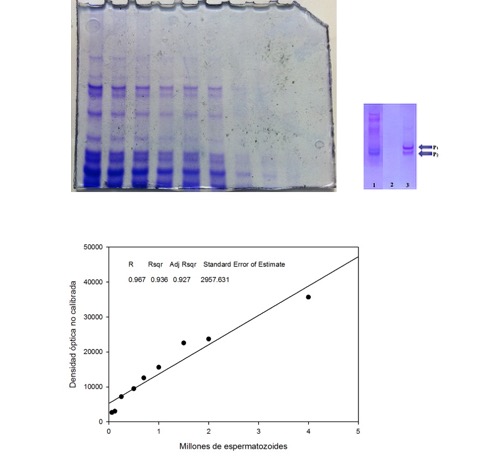 fig1