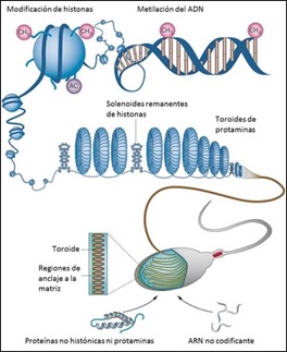 fig1