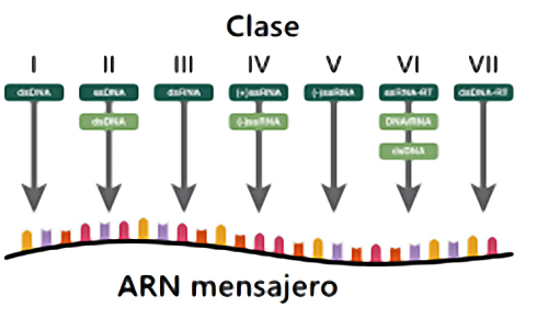 fig1