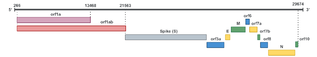 fig1