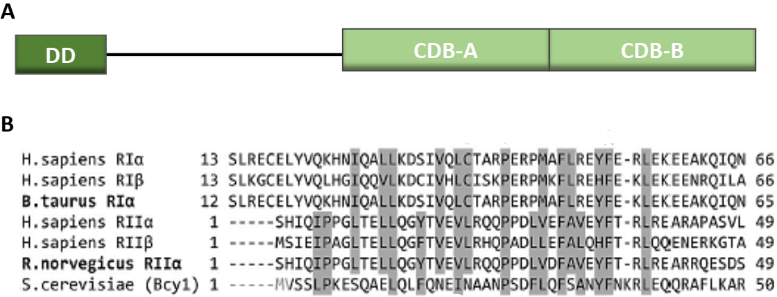 fig1