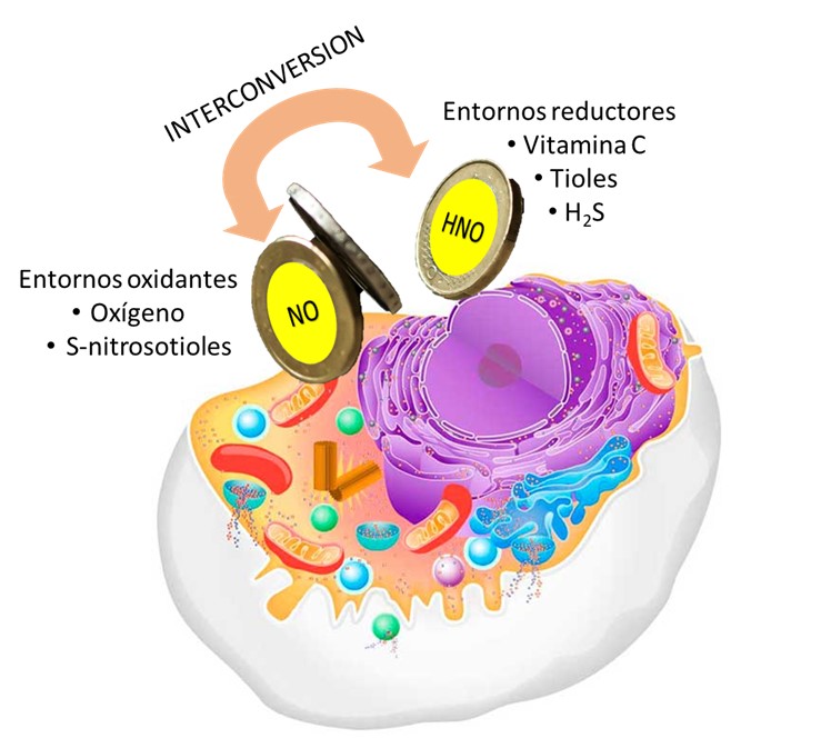 fig4