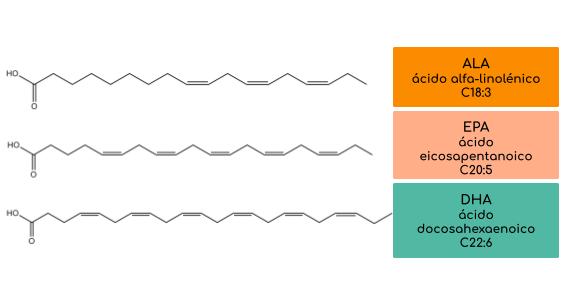 fig1