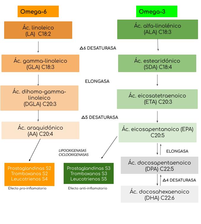 fig1