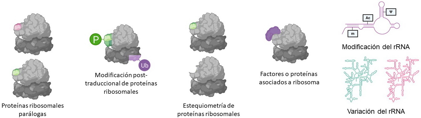 fig1