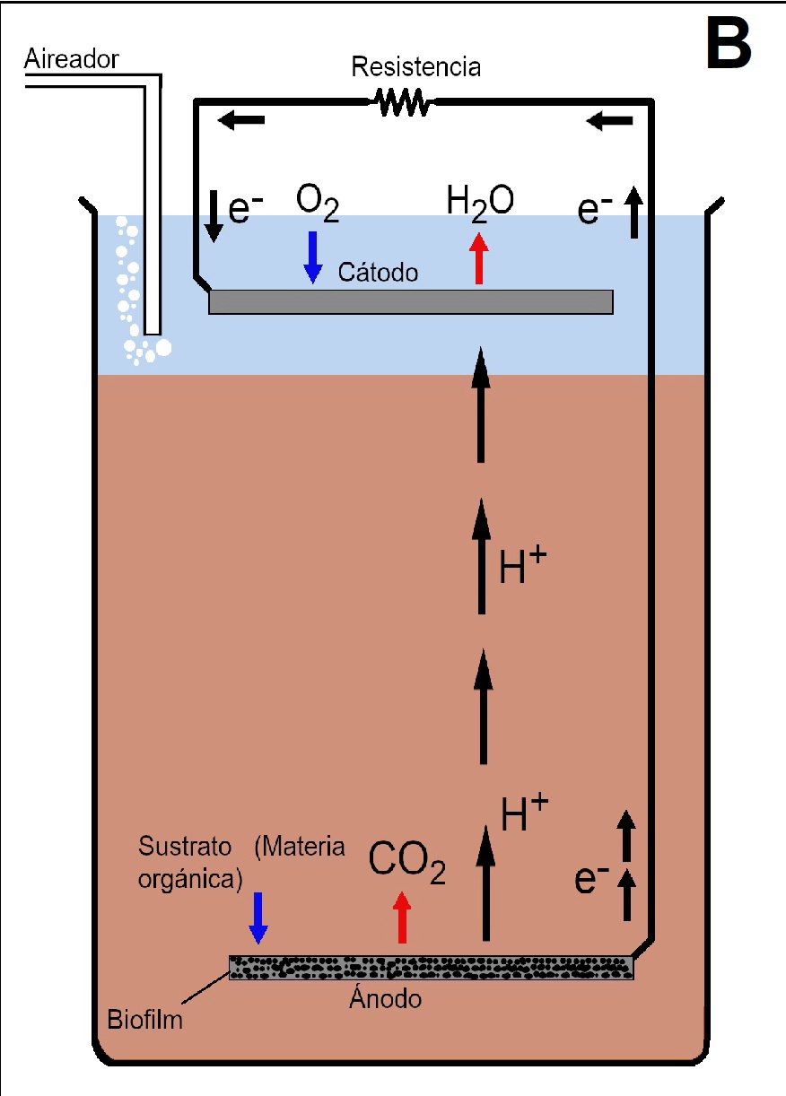 fig1