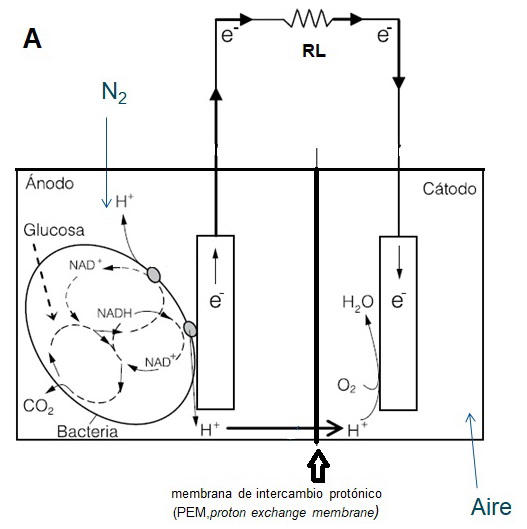 fig1