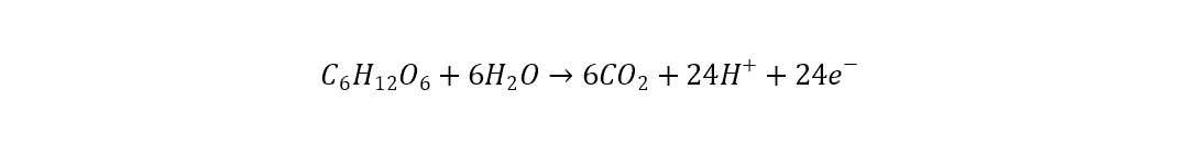 fig4