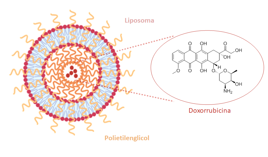 fig5