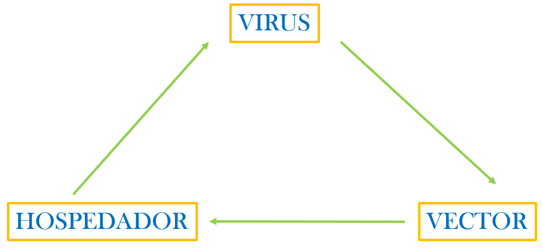 fig2