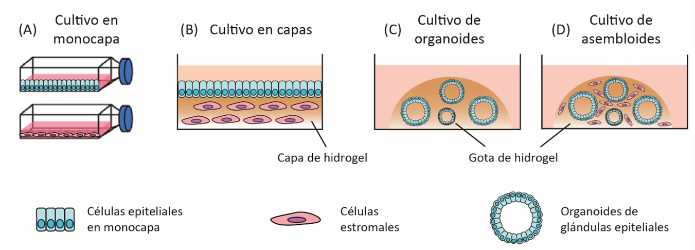 fig1
