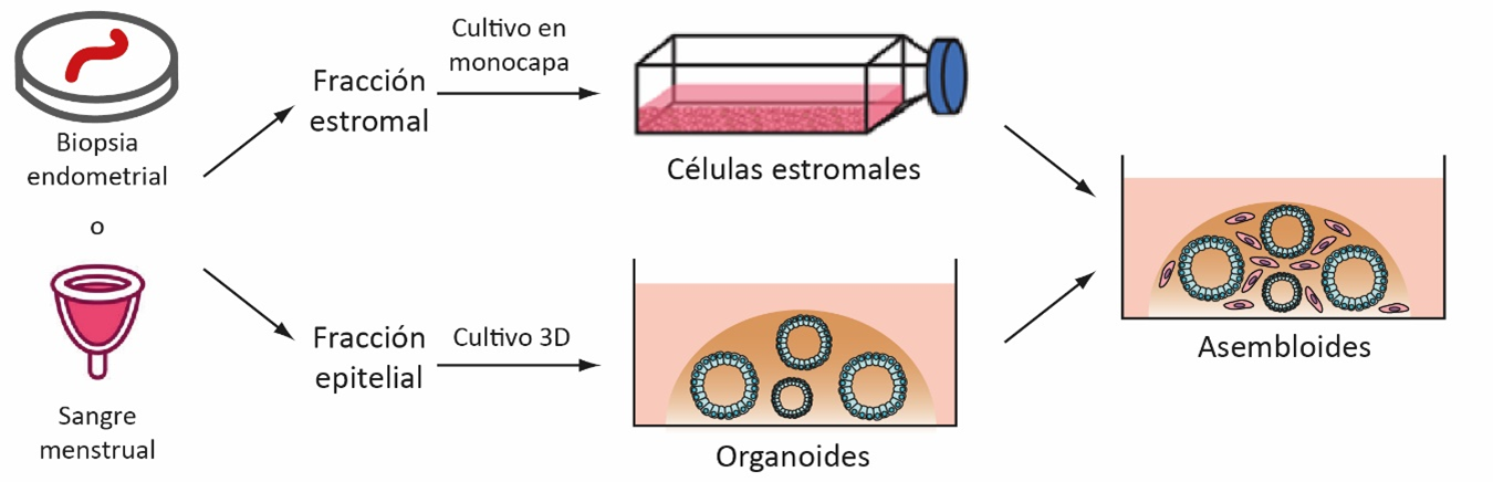 fig1