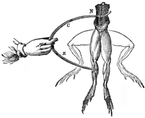fig2
