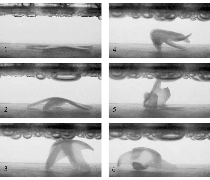 fig4