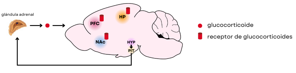 fig1