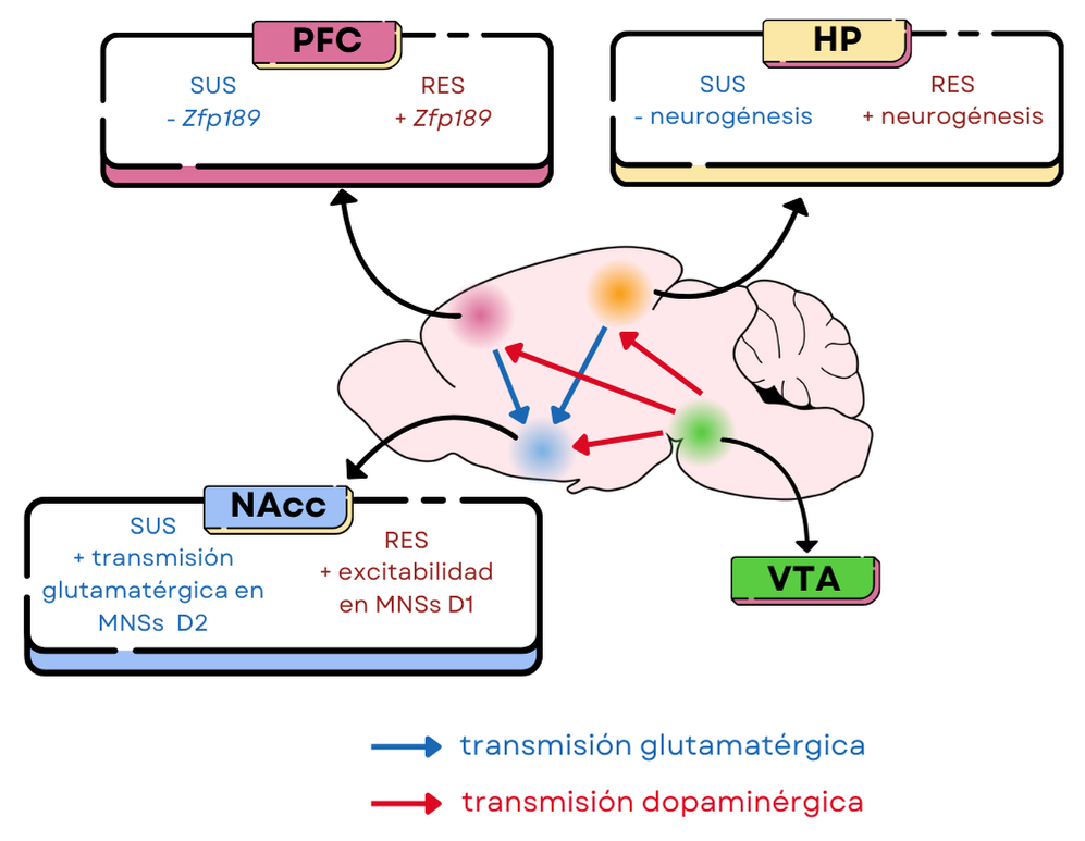fig1