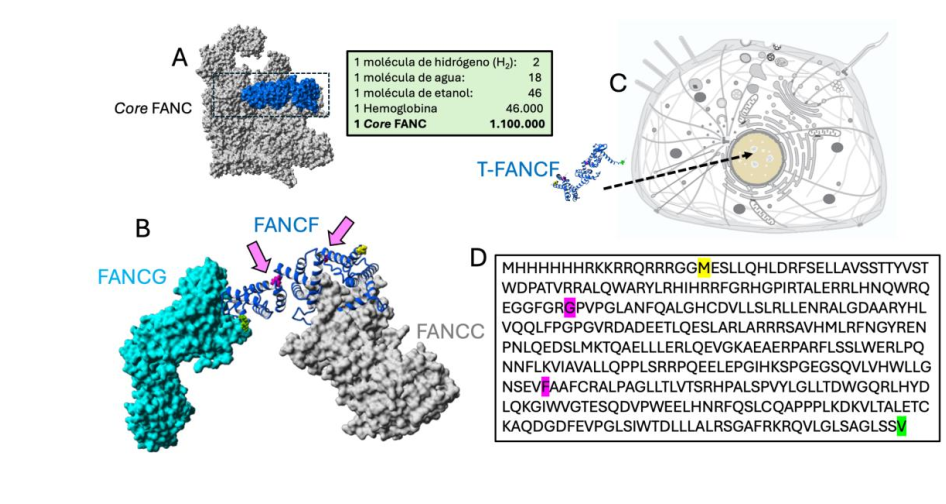 fig3