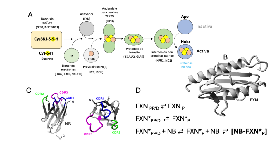 fig4