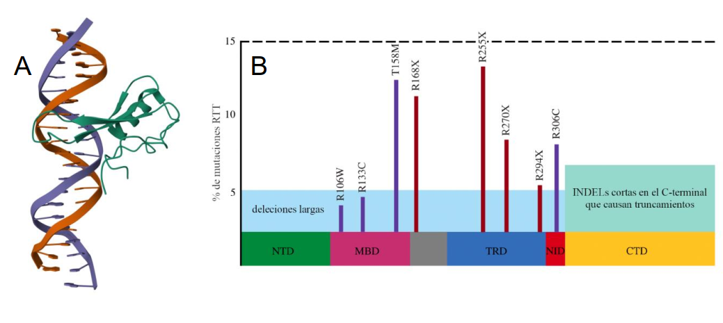 fig6