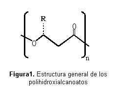 Cuadro de texto:  

Figura1. Estructura general de los polihidroxialcanoatos
