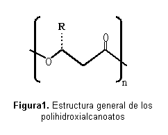 Cuadro de texto:  

Figura1. Estructura general de los polihidroxialcanoatos
